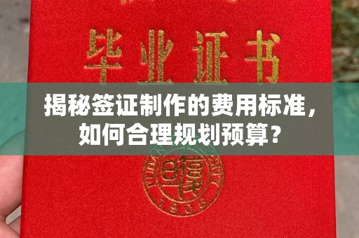 博山揭秘签证制作的费用标准，如何合理规划预算？