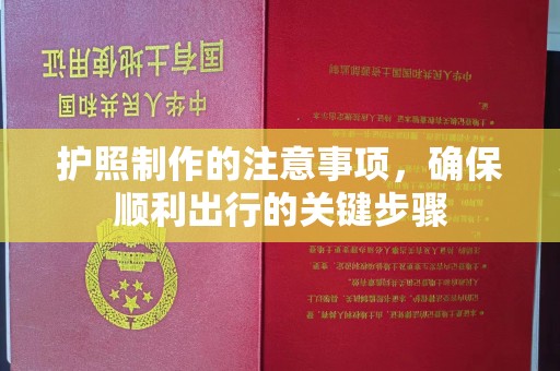 博山护照制作的注意事项，确保顺利出行的关键步骤