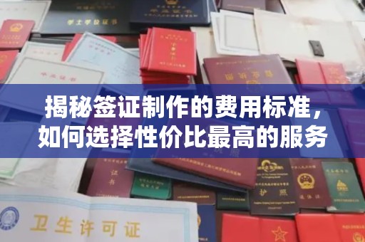 博山揭秘签证制作的费用标准，如何选择性价比最高的服务？