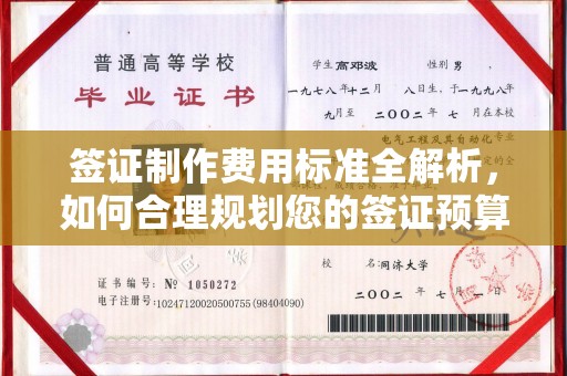 博山签证制作费用标准全解析，如何合理规划您的签证预算？