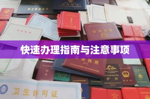 博山快速办理指南与注意事项